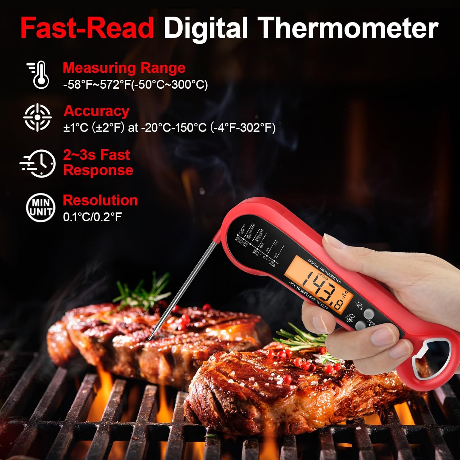 Professional Digital Meat Ther - Meat Thermometer review and price