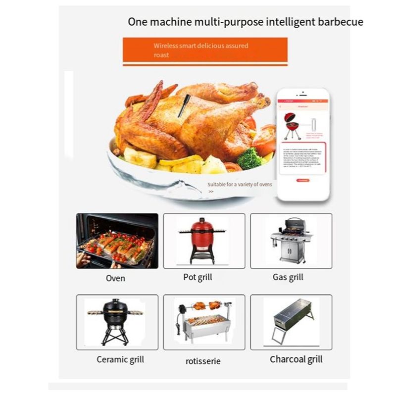 Wireless Meat Food Thermometer - Meat Thermometer review and price
