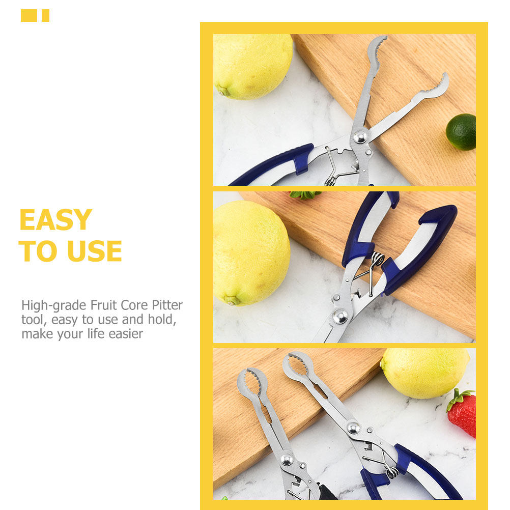 Hawthorn Core Remover Tool Por - Kitchen Gadgets Usa review and price