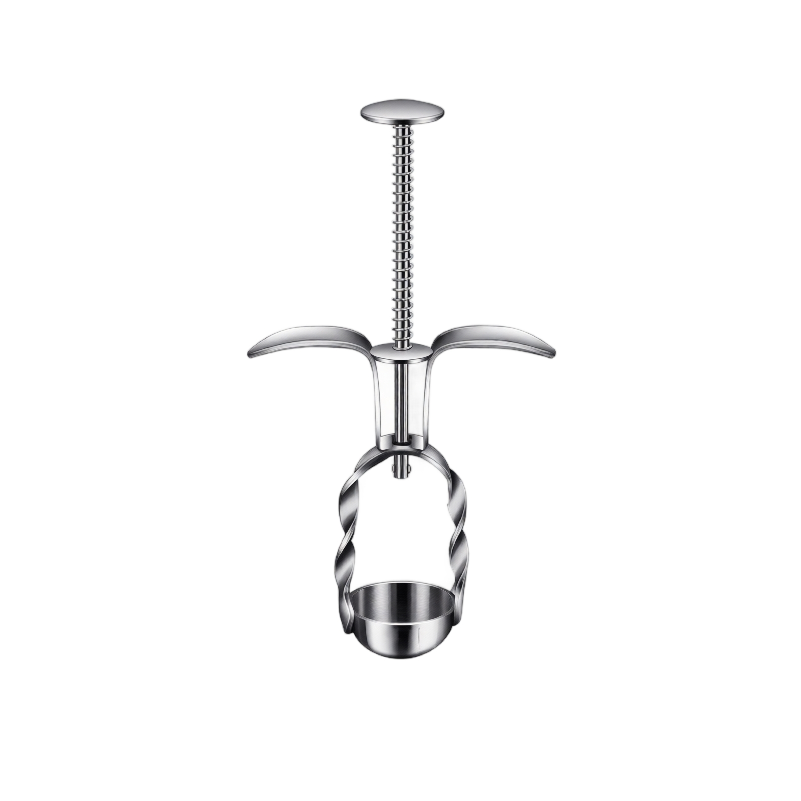 Stainless Steel Red Date Pitte - Kitchen Gadgets Usa review and price